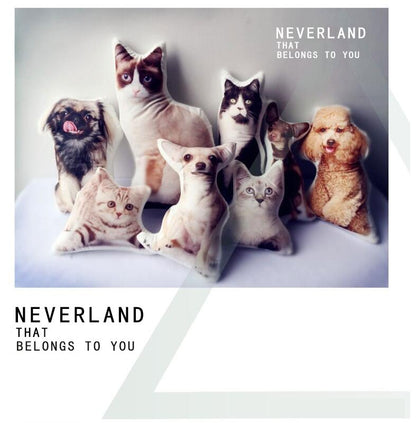 Custom Shaped Pet Pillow with Cute Animal Design