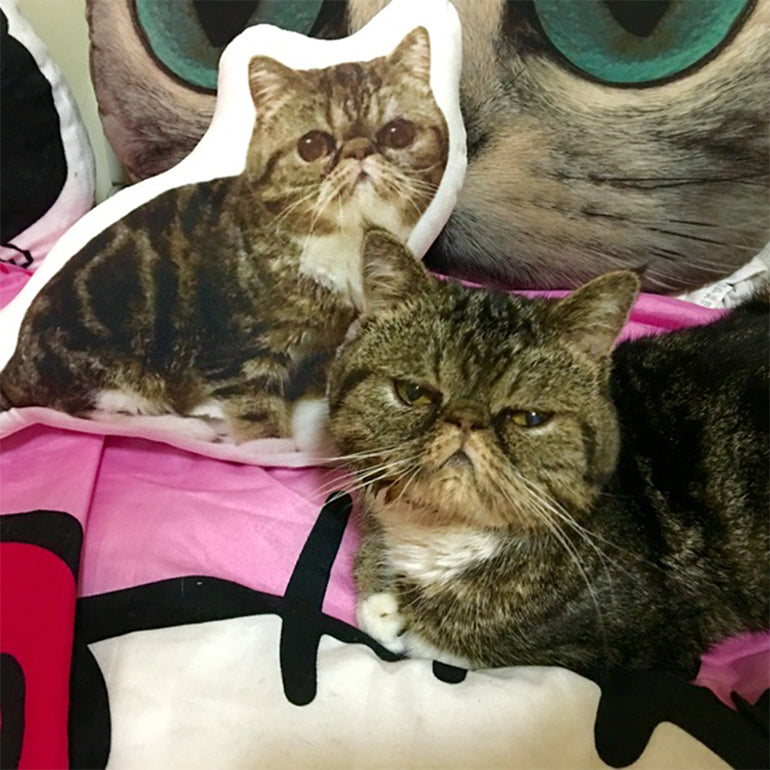 Custom Shaped Pet Pillow with Cute Animal Design